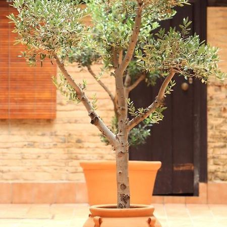 Apartamento Corral De Triana Sevilla Eksteriør bilde